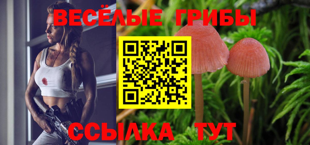 Галлюциногенные грибы GOLDEN TEACHER Балаково